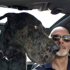 Meet your Posher, Greg